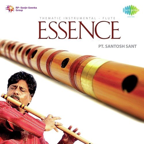 Pt. Santosh Sant Songs MP3 Download